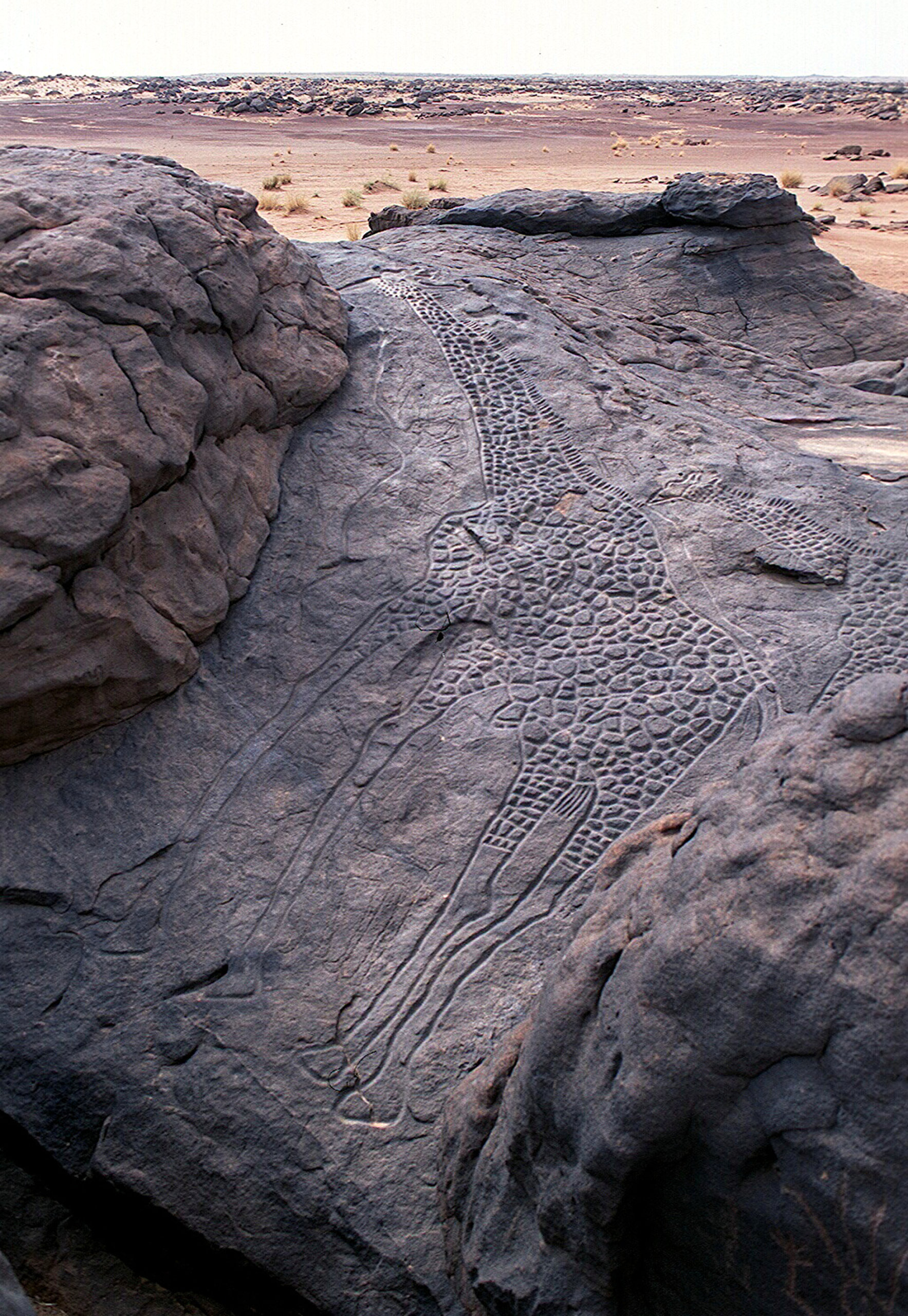 Dabous Rock Engravings, Sahara Desert, Niger