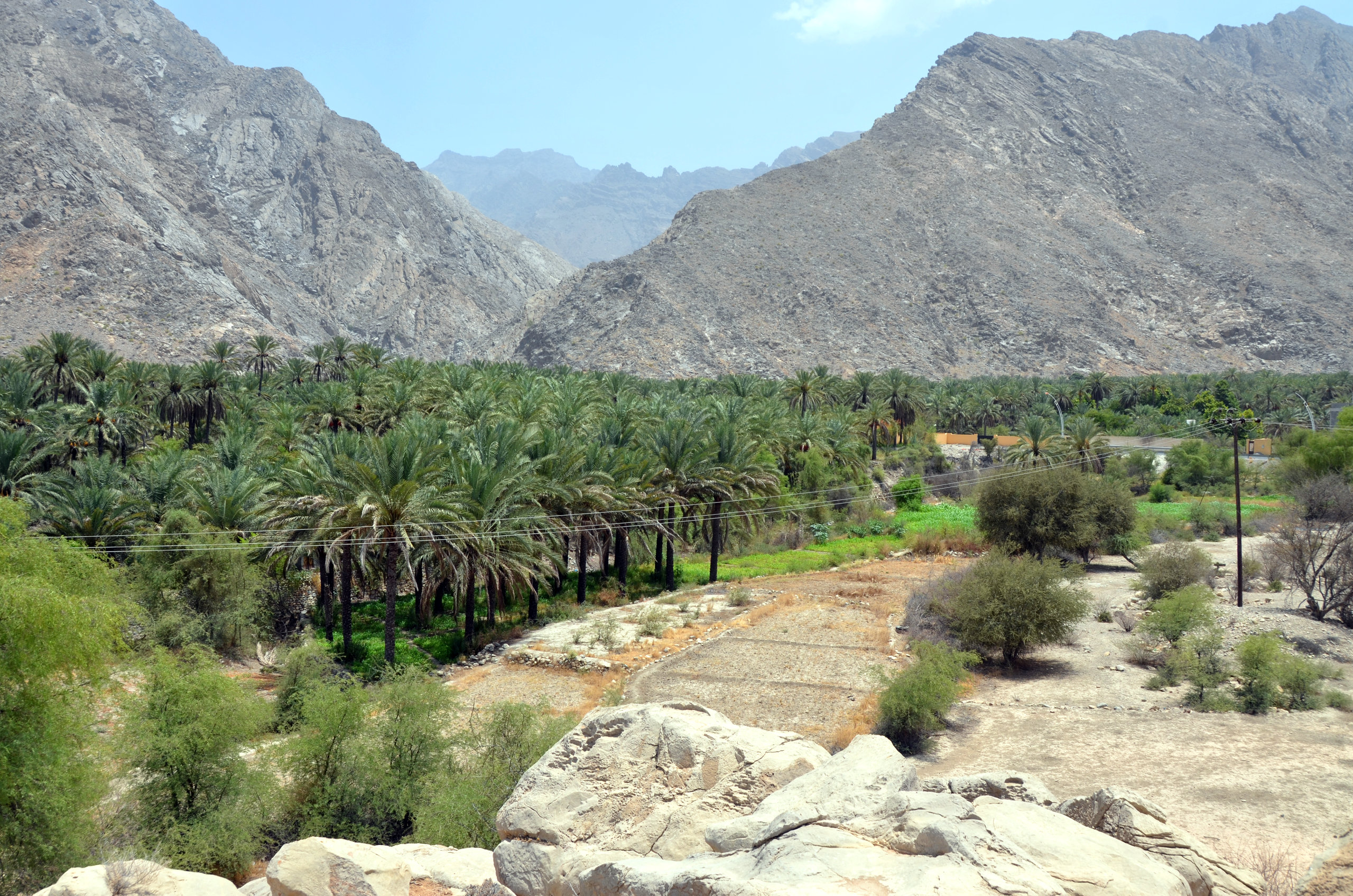 Nakhl_Oman_Site_2465